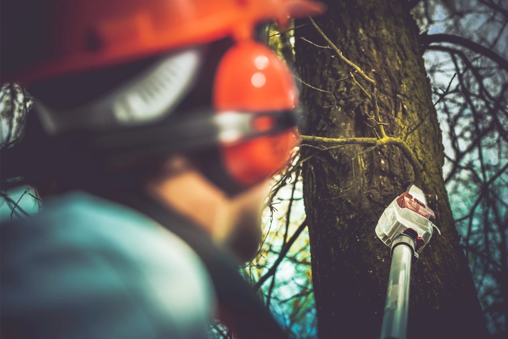 Arbeiter mit Helm und Gehörschutz schneidet Äste mit Hochentaster am Baum – Baumschnitt