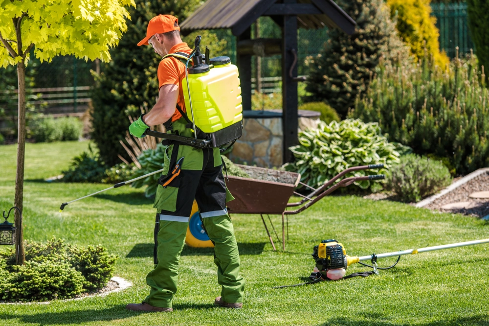Mann mit Rucksack-Sprühgerät behandelt Rasen am Baum auf gepflegtem Grundstück (Gartenpflege)