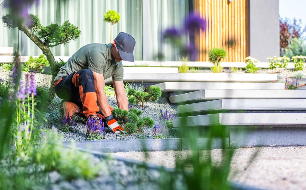Gartenpflege mit Bepflanzung und Unkrautentfernung neben Terrassenstufen
